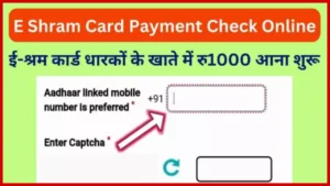 E Shram Card Payment Check Online
